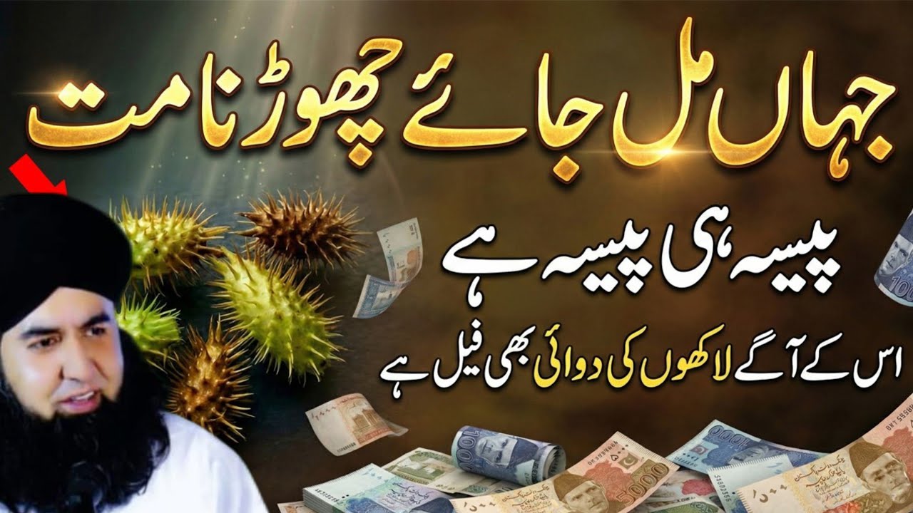 Jahan Mil Jaye Chorna Mat | Ye Jangli Phal Apko Ameer Bana De Ga | Qudrat Ka Anmol Khazana Dr Hammad