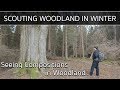 Why Winter is Best for Scouting Woodland - Seeing Compositions in Woodland Photography