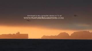 "The California Coast" (w Music) 1 HR HEALING Nature Relaxation Video w Music 1080p