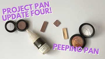 Peeping Pan Project Update 4