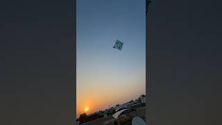 Big Kite Catch and kite Looting 🪁😱 #shorts #kitecatching
