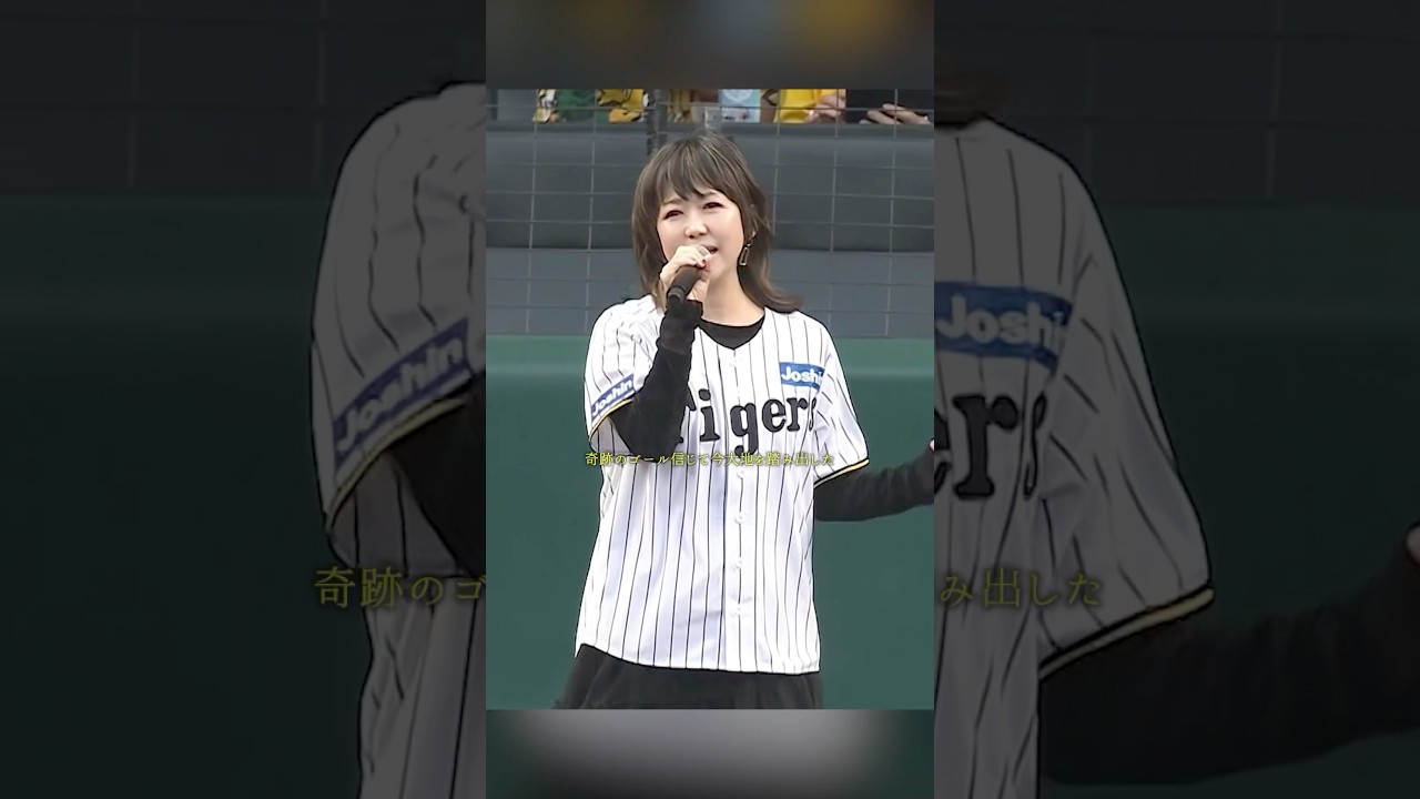 リーグ優勝記念🐯「#LINDBERG FLIGHT シリーズ パーフェクト DVD BOX