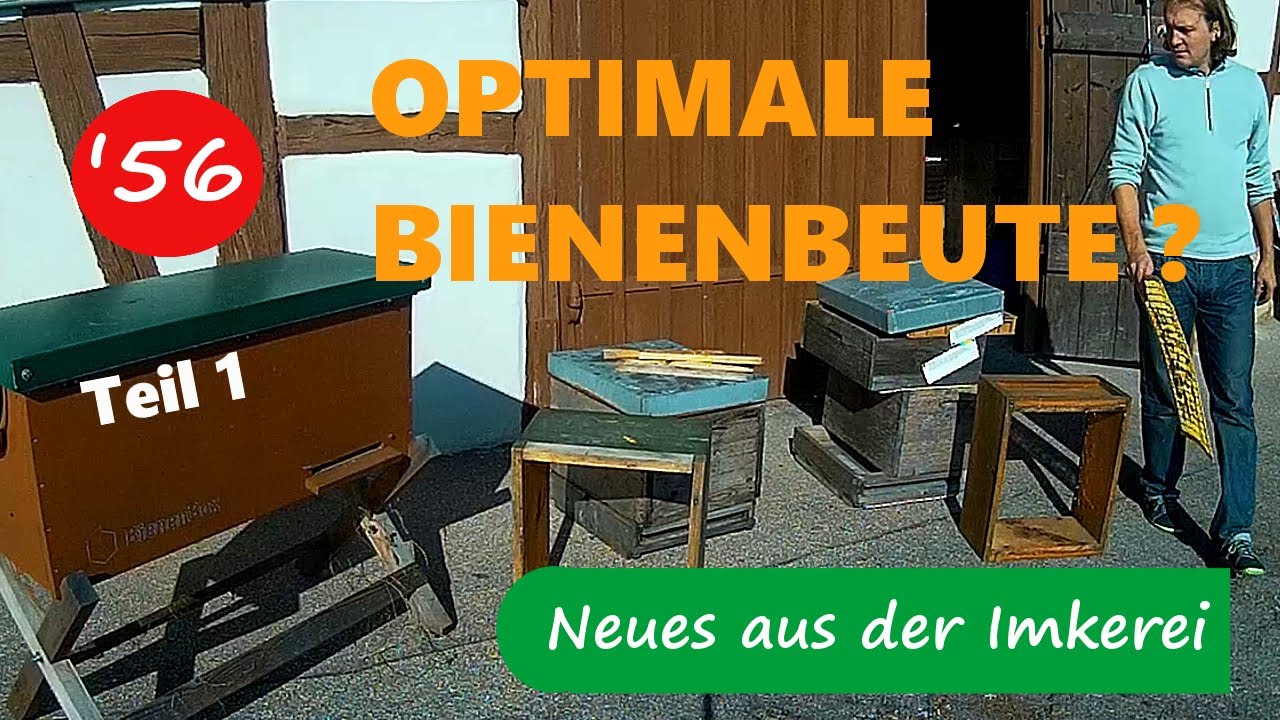 Bestes Beutensystem/ Teil 1 - Neues aus der Imkerei #56