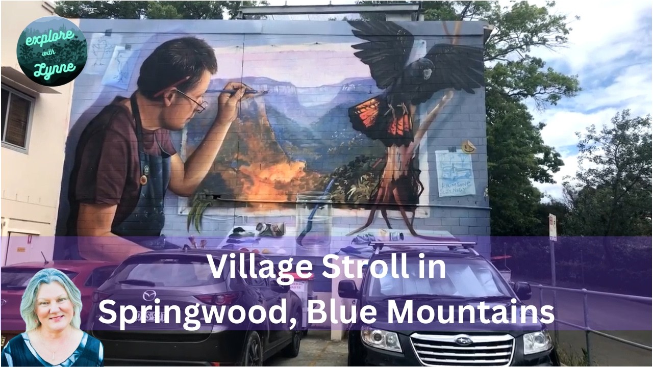 Virtual Stroll in Springwood, New South Wales, Checking Out the Street Art & Retail Strip