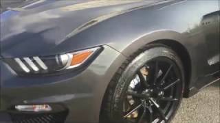 Friendly Ford 2016 Shelby GT350 Mustang (Poughkeepsie, NY)