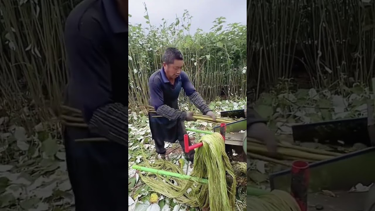 bark rope making process- Good tools and machinery can increase work efficiency