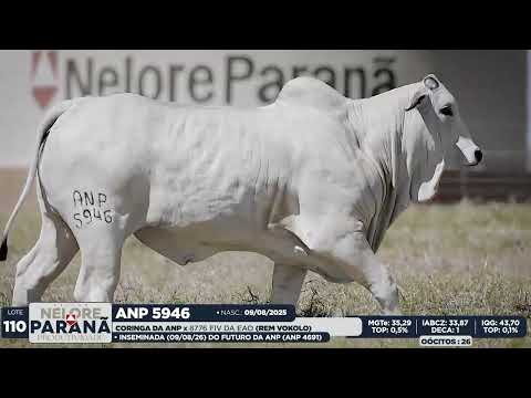 LOTE   110 ANP 5946