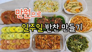 2023년 만원으로 일주일 반찬만들기 자취 밑반찬 식비 절약하기