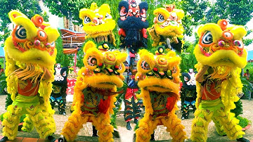 Múa Lân Sư Rồng Hay Nhất 2025 tại Lễ hội Kỳ Yên Vệ Thủy Thần Miếu