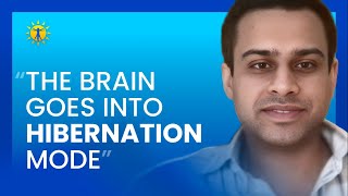 Brain Inflammation I A Root Cause Of Chronic Fatigue? Dr. Datis Kharrazian, Ashok Gupta