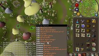 Just 1 pray UIM things #1.  Mutated Zygomite Safe Spot at Fossil Island
