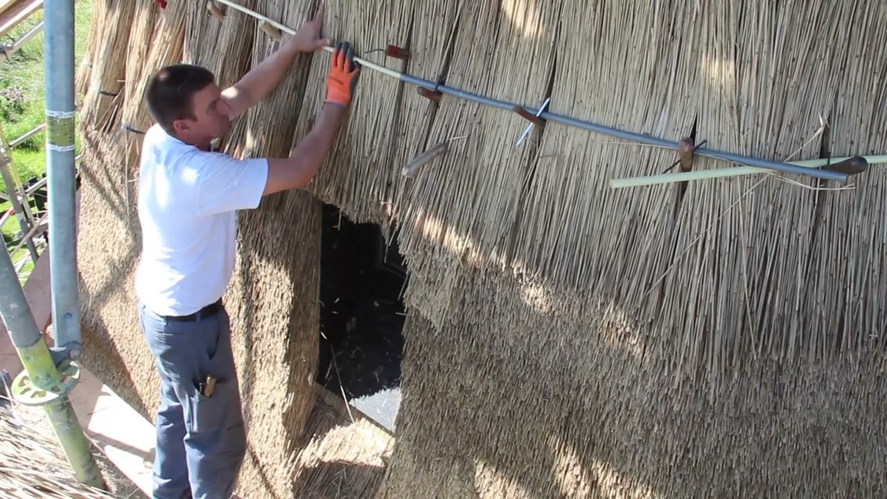 Nieuw Riet voor Strijkmolen D te Oudorp NH