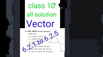class 10 vector exercise 6.2 all solution in one video