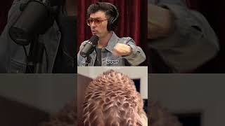 Joe Rogan On Falcon Training