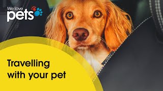 Eurotunnel Le Shuttle pet journey | Travelling with pets to Europe and France