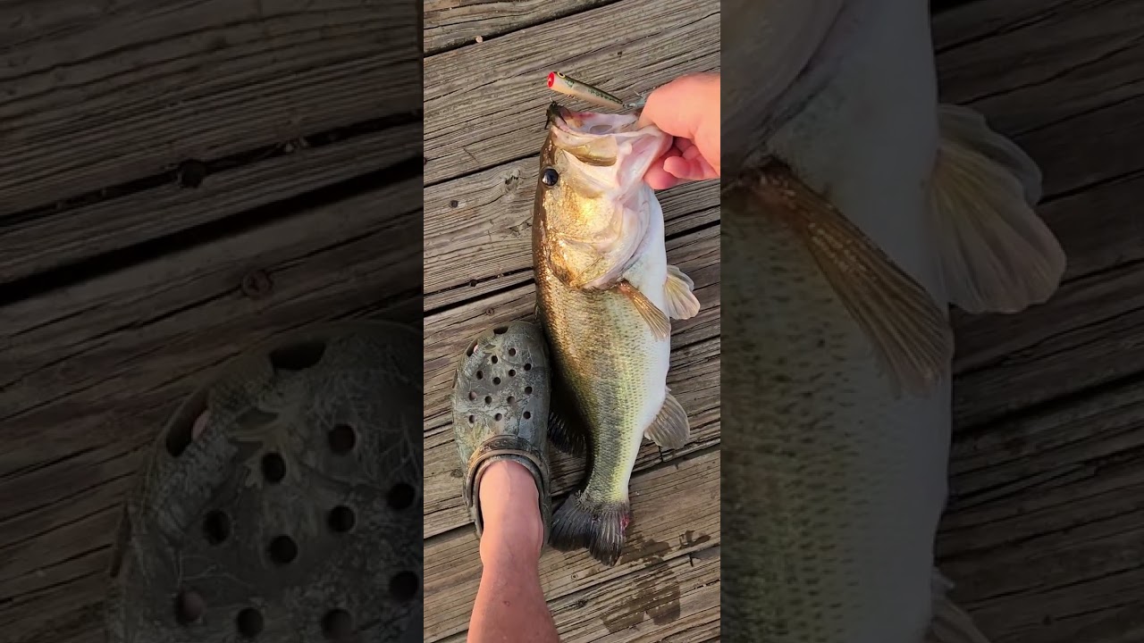 Still Chasing That Thrill 