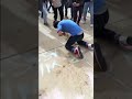 spongebob dies