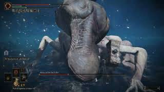 Ladny En Elden Ring. The Finger Mom Or Something.