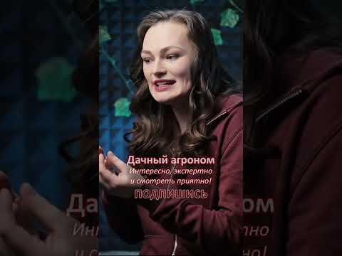 ПРОВЕРЬ НЕТ ЛИ