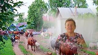 картинка: ТРОПИНОЧКА К РОДИМОМУ ПОРОГУ Исполняет Вараксина Н  Слова В  Тимофеевой, аранжировка А  Знаменский