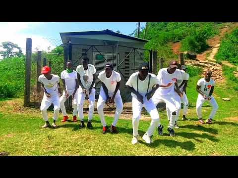Ibraah ft Harmonize-One night stand dance video