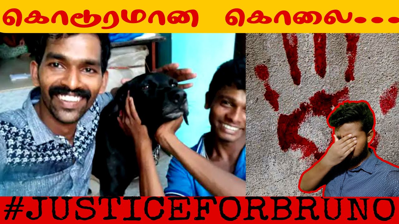 JusticeForBurno |JusticeforBurnodog |DogJustice | Tamil