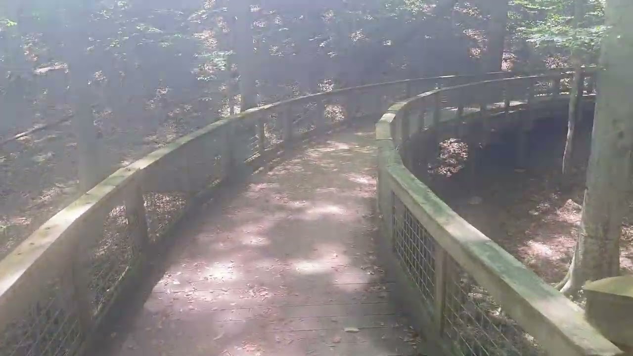 Little Mulberry Park