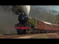 Three A4s (60007, 60009, 60019) and V2 'Green Arrow' No 4771 at the NYMR Spring Steam Gala 2008