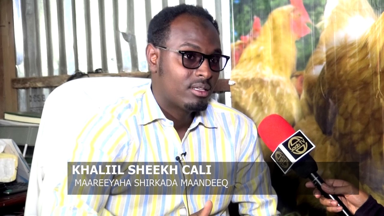 BARNAAMIJKA GANACSIGA SAAB TV MASHRUUCA DIGAAGA EE MAANDEEQ