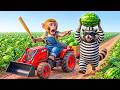 Monkey Drives JCB Tractor to Harvest Watermelons & Plans a Trap to Catch the Farm Thief!