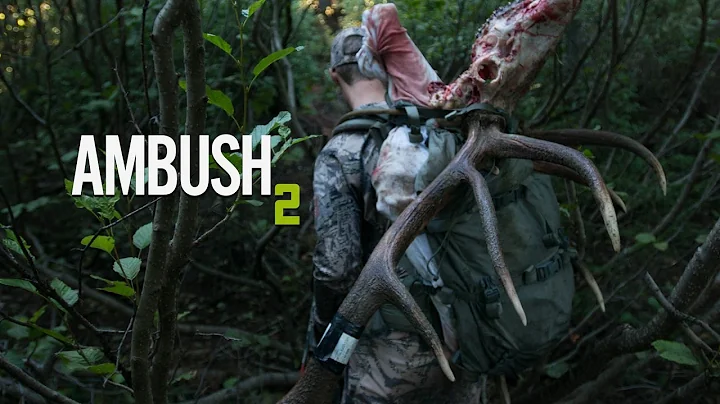 AMBUSH 2 - Bowhunting Montana Public Land Elk