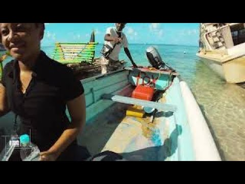 ✔️FANTASTIC Blue Lagoon In Portland Detailed Full Tour With CAPTAIN FOX 2022 4K