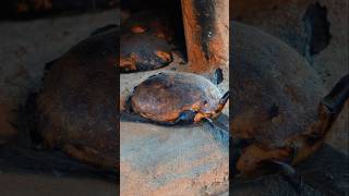 Download Lagu Mijlchebrood (Brote) - pão pomerano feito com farinha de milho e tubérculos no forno à lenha 🫓🌽 MP3