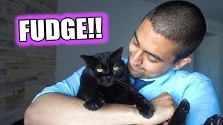 retour la maison avec fudge 12 juin 2017