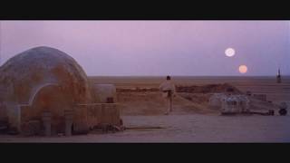 Binary Sunset but it's a Nature Documentary