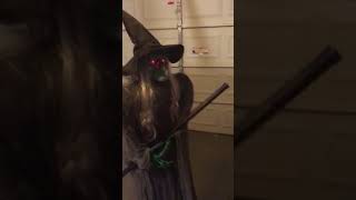 2009 Pan Asian Remote Control Witch Halloween Prop