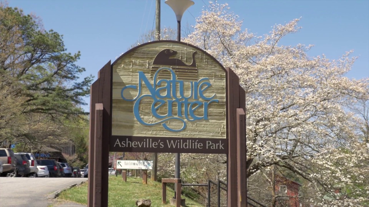 Tour the Beverly Hills Neighborhood Asheville, NC Real Estate YouTube