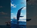 fish 🐟 #shorts #youtubeshorts #whalefish