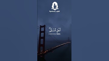 سورة النحل - الاية 61  | ياسر الدوسري ❤  #قران_كريم  #قرآن