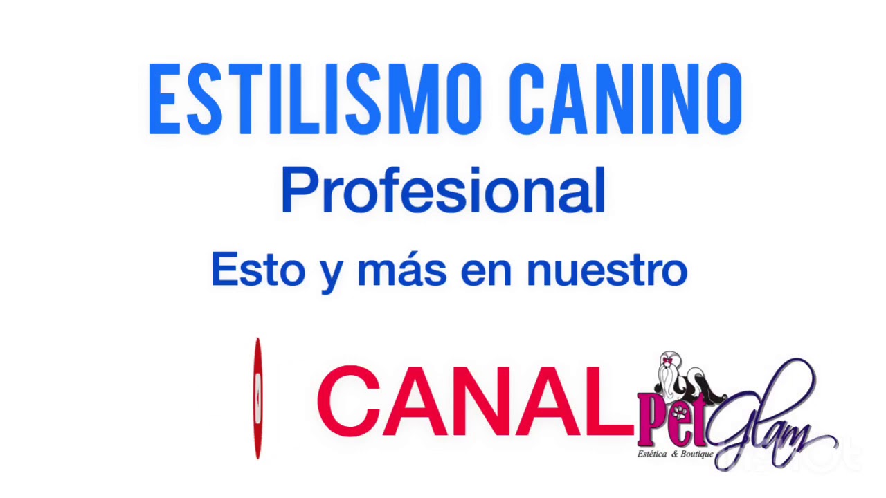 Cómo y dónde aprendo PELUQUERIA CANINA? PetGlam🐾