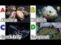 A to Z Ocean Animals for Kids 🌊 | ABC Alphabet Song | Preschool Learning Made Fun