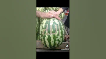 اذا سمعة هذا انت ماذا تقول 