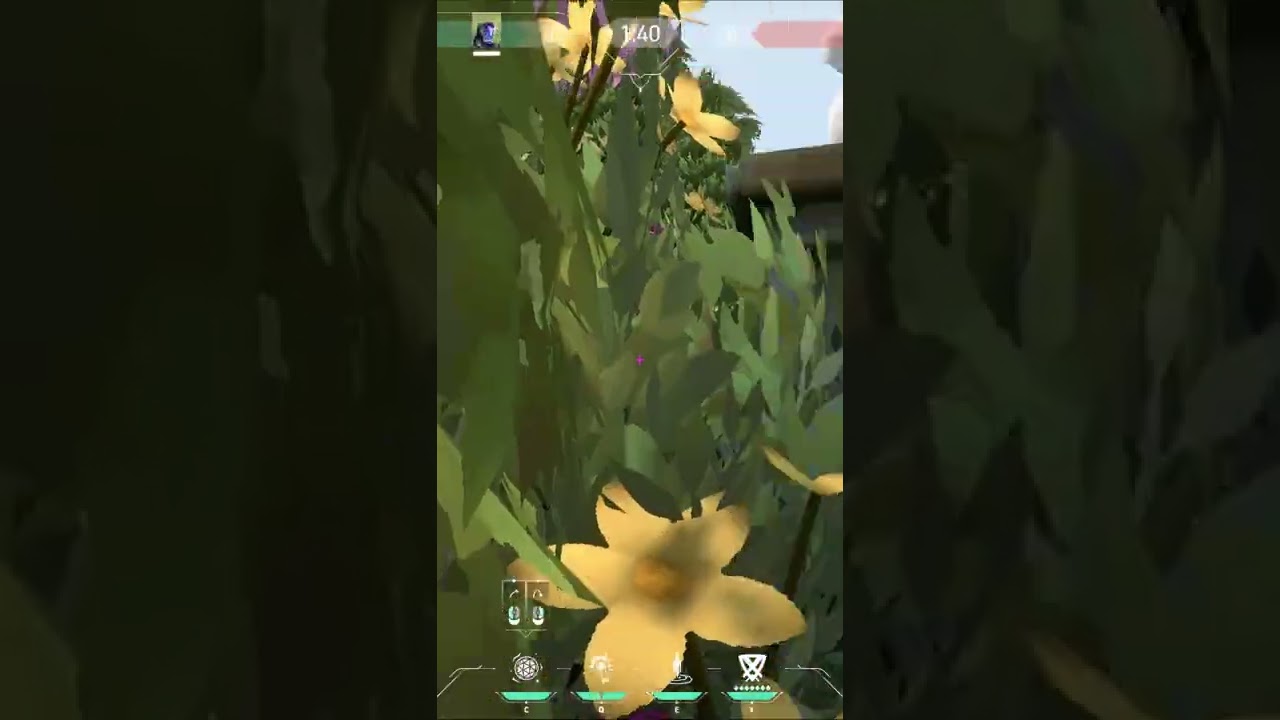 KAYO Molly - Fragment Lineups: Haven C Default Post Plant