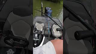 Download Lagu Largie off a dock!  #fishingequipment #angler #largemouthbass #fishinggear #fish #catchingfish MP3