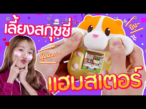 ซอฟรีวิว: สกุชชี่แฮมสเตอร์ เลี้ยงได้!?【Cream Squishy Hamster】