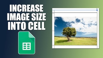 How to increase image size in cell google sheets
