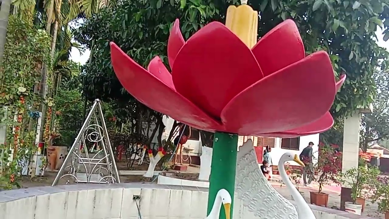 বিকালের মনমুগ্ধকর পরিবেশে পার্কে ঘুরতে গিয়েছিলাম। আপনারা দেখুন লাইক ও সাবস্ক্রাইব করুন। 