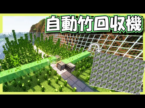 竹もう回収いらない、、、毎時〇〇の自動竹回収機!!【理クラ#12】 #minecraft #マイクラ #タイムラプス