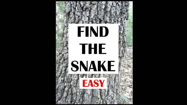 FIND THE SNAKE! Nobody Can See This Hidden Animal । Optical Illusions । Brain Teasers