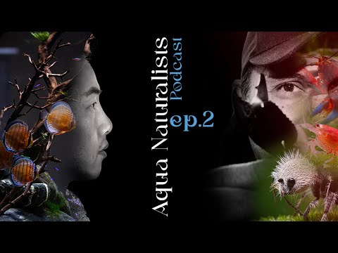 Aqua Naturalists Podcast Episode 2 The Shrimp King - Chris Lukhaup @CHRIS LUKHAUP
